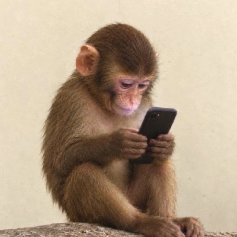 $FONEBANK mascot